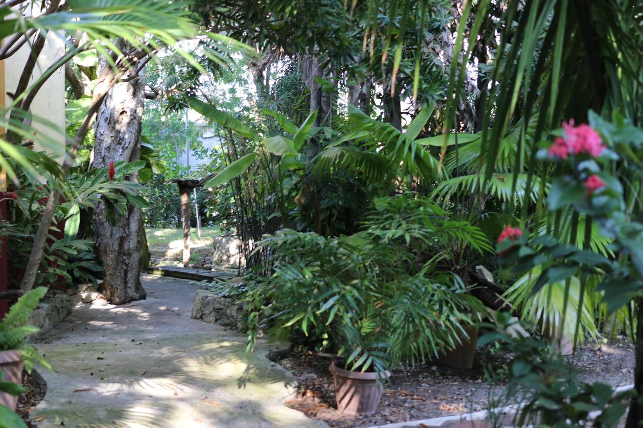 Bed and Breakfast Casa Kin33 Cancún Zewnętrze zdjęcie