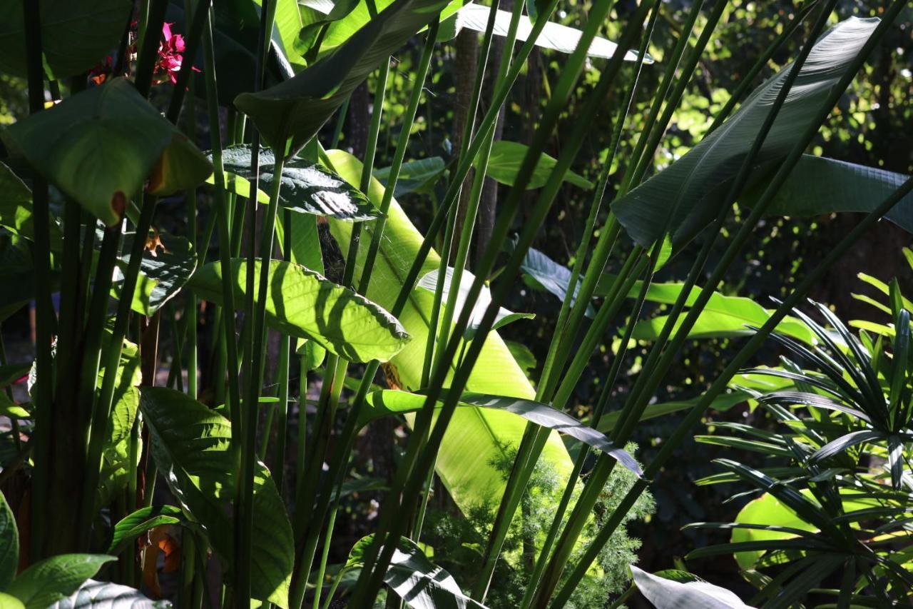 Bed and Breakfast Casa Kin33 Cancún Zewnętrze zdjęcie