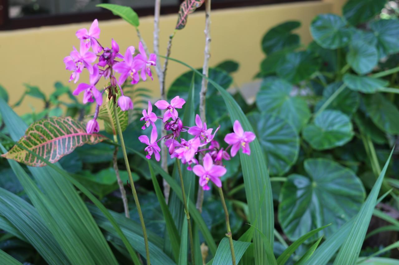 Bed and Breakfast Casa Kin33 Cancún Zewnętrze zdjęcie