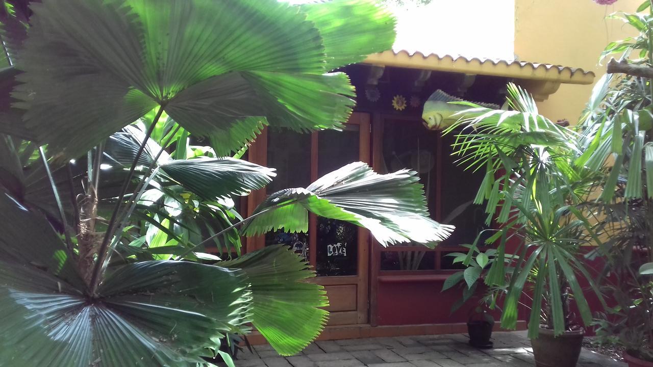 Bed and Breakfast Casa Kin33 Cancún Zewnętrze zdjęcie